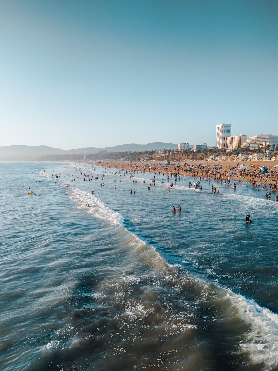 people on seashore