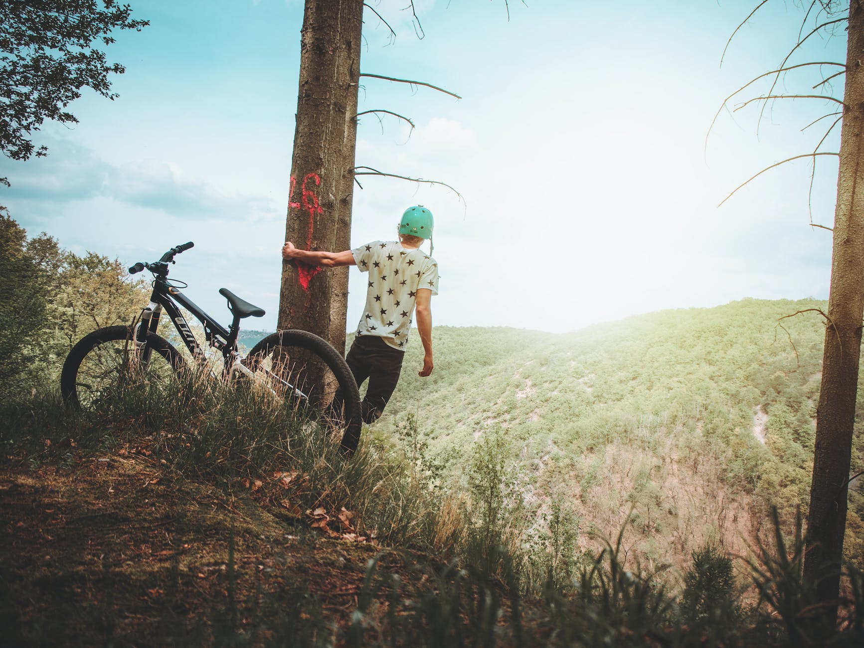 man holding tree enjoying the view mountain