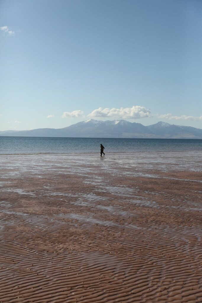 person walking on beach