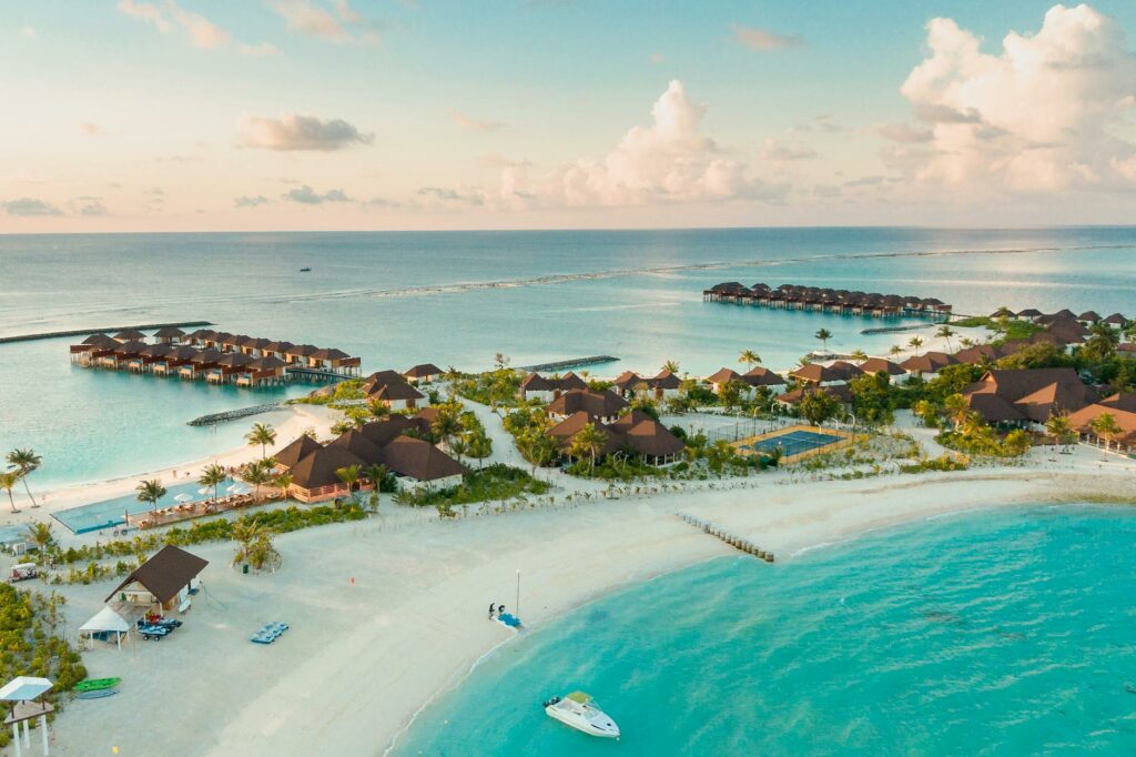 aerial shot of beach