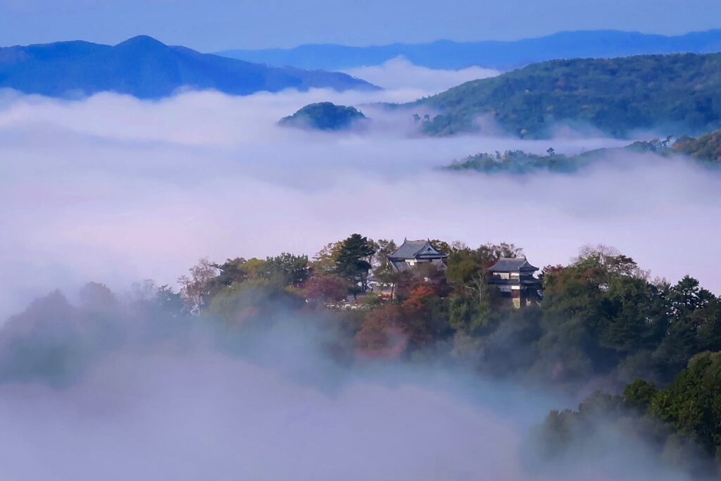 Setouchi Perle Cachée Japon Authentique